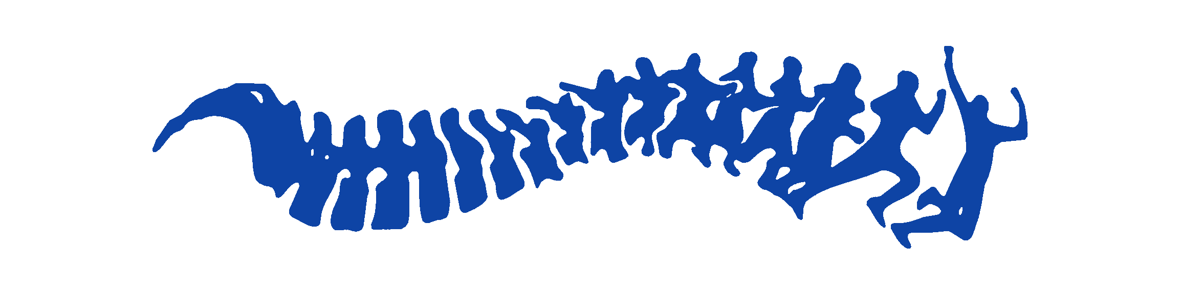 Tauranga Chiropractic